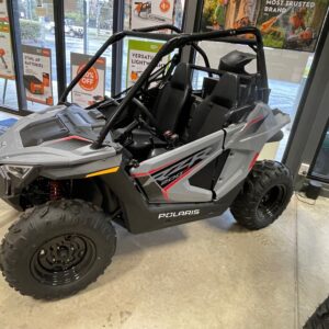 RZR 200 EFI